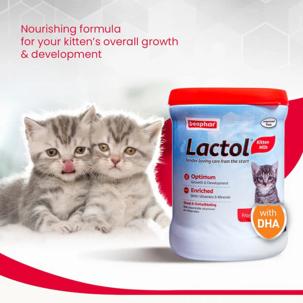 Beaphar Lactol Milk Replacement Powder for Kitten 200g