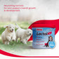 Beaphar Lactol New Born Milk Replacement Powder for Puppies 200g