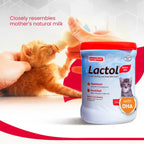 Beaphar Lactol Milk Replacement Powder for Kitten 200g