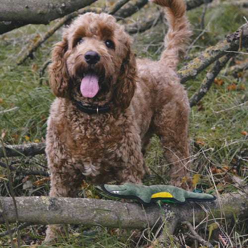 Beco Recycled Rough & Tough Crocodile Dog Toy
