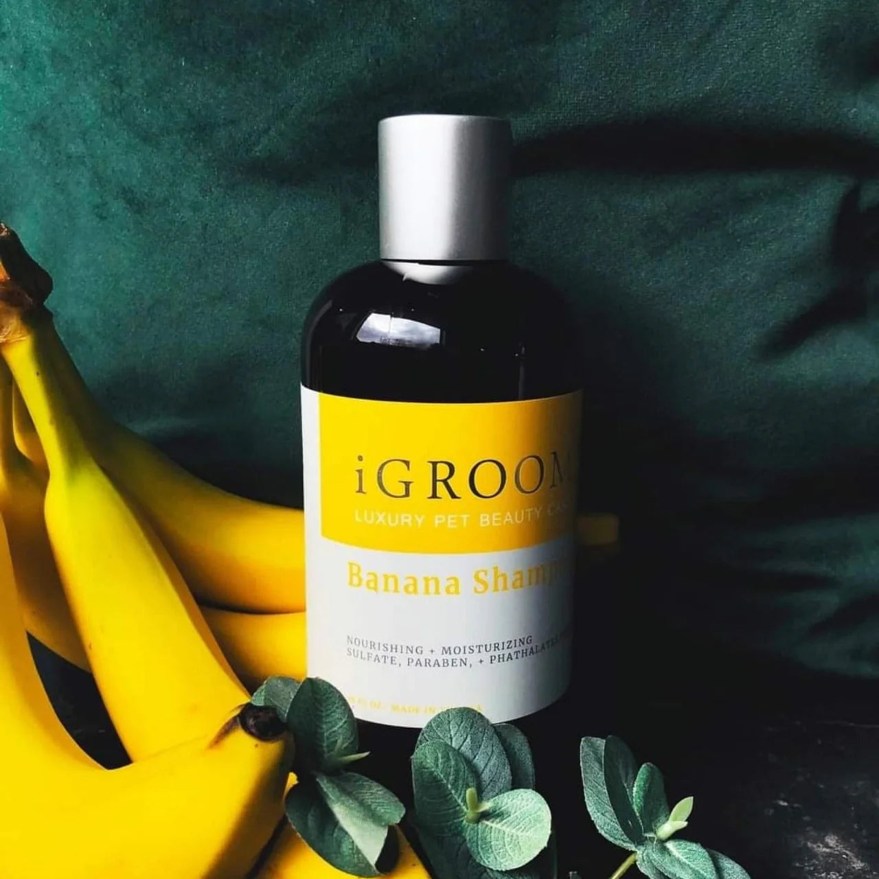 iGroom Banana Shampoo For Dog 473ml