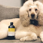 iGroom Banana Shampoo For Dog 473ml