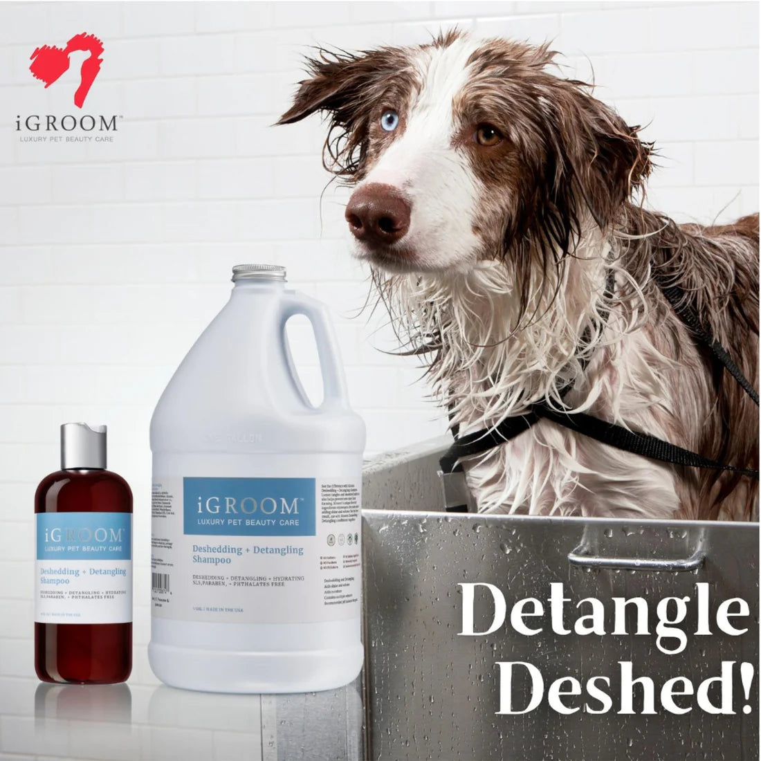 iGroom Deshedding + Detangling Shampoo For Dog 473ml