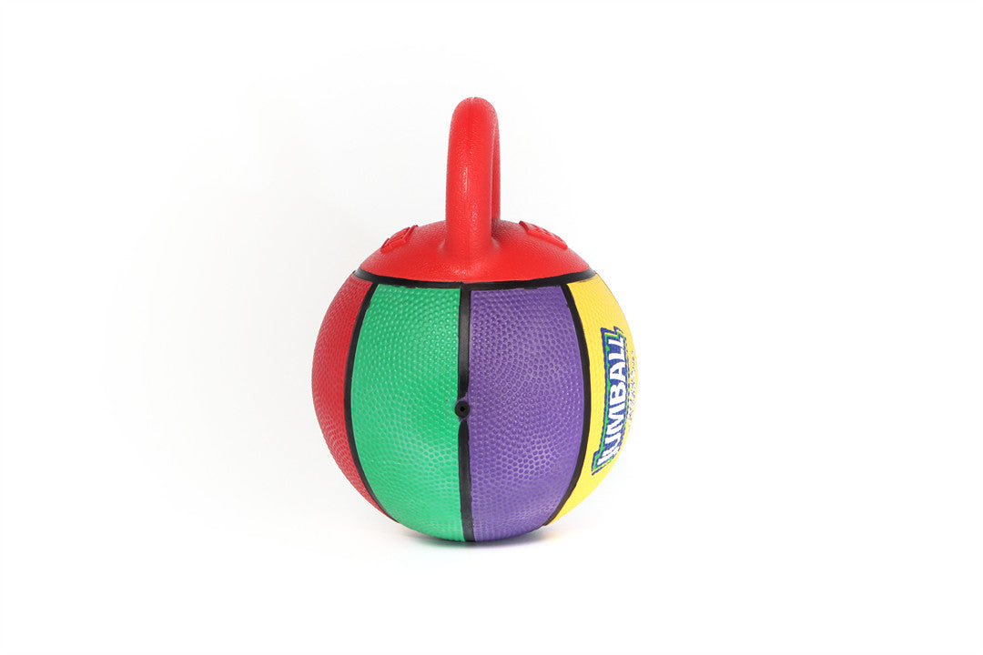 Gigwi Jumball Basketball Ball with Rubber Handle Small Size 5.5