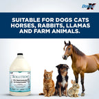 Double K The Solution Conditioner Gallon 3.8Litre