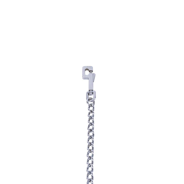 Kennel M.S. Tie Chain No.1 | Strong & Durable Metal Tie-Out Chain for Dogs l Chain Length 152.2cm (60") l 4mm