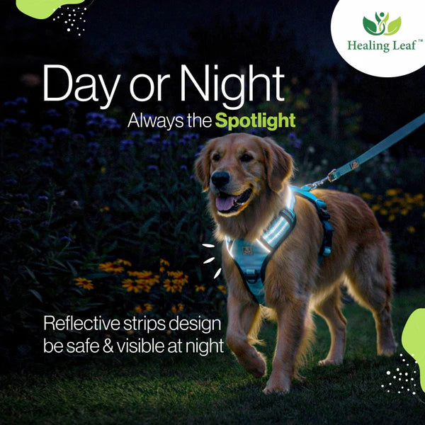 Healing Leaf Set of 3 Collar l Harness l Leash For Dogs l Blue