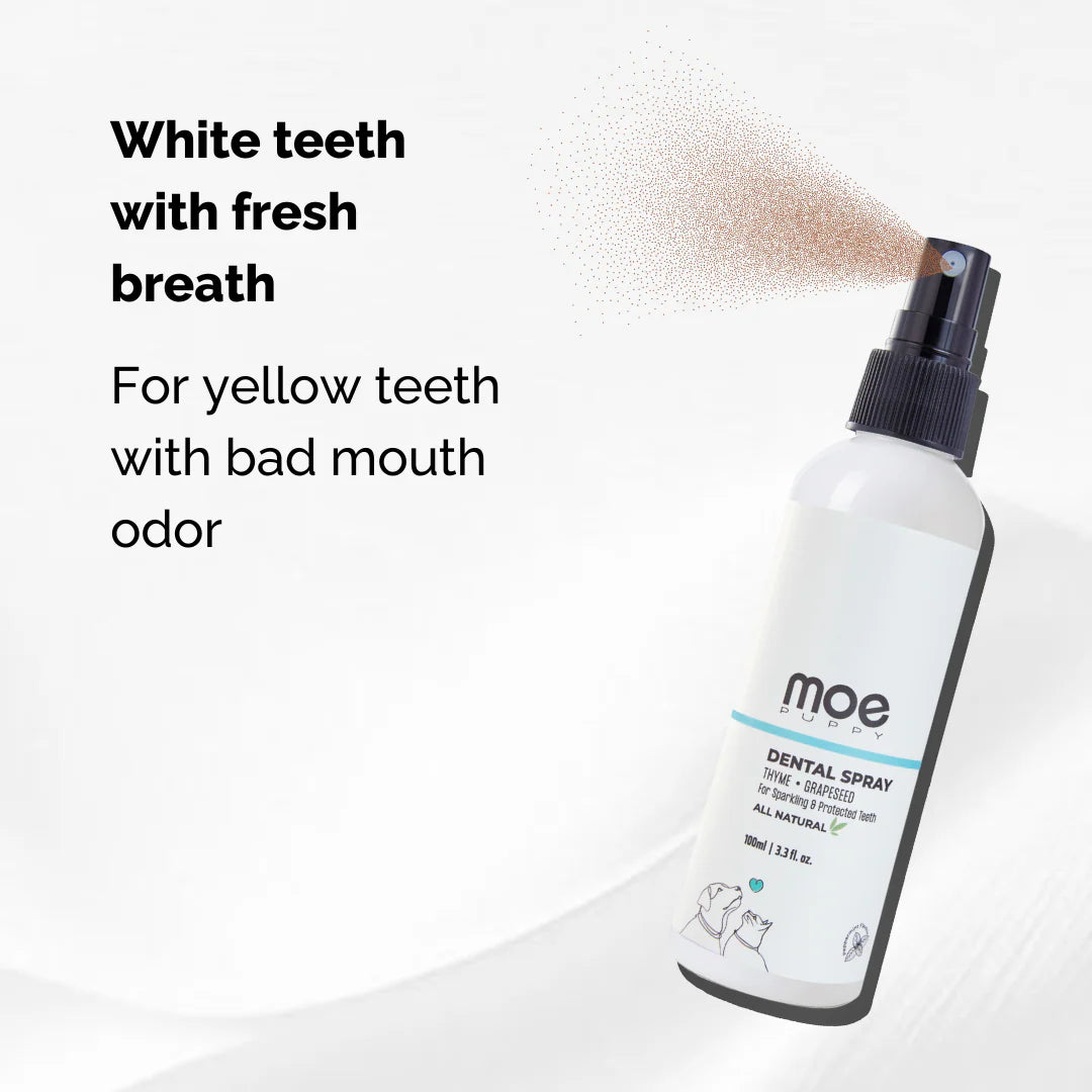 Moe Puppy Dental Spray Cruelty Free with Thyme and Grapeseed For Dogs and Cats 100ml