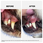 Moe Puppy Dental Spray Cruelty Free with Thyme and Grapeseed For Dogs and Cats 100ml