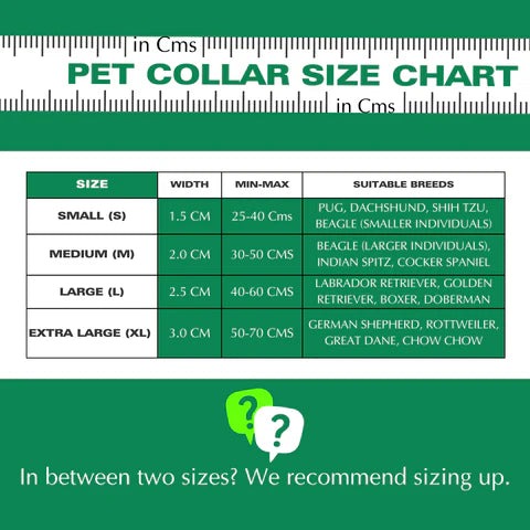 Basil Printed Green Padded Collar