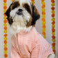15 Furries Peach Dog Sherwani