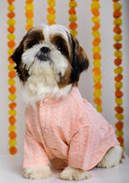 15 Furries Peach Dog Sherwani