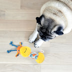 FOFOS Puppy Toy Giraffe 21 x 16 x 4 cm