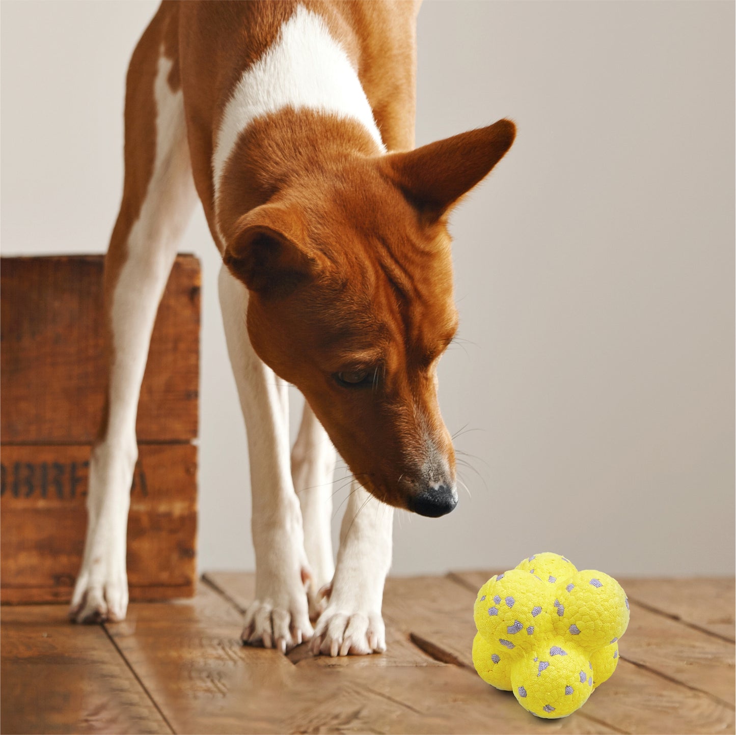 FOFOS Ultra-Durable Dog Toy Ball Yellow/Grey 8 x 8 x 8 cm