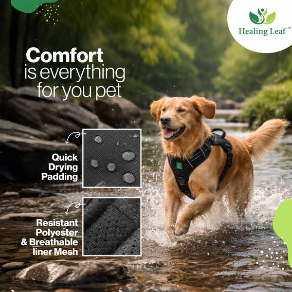 Healing Leaf Set of 3 Collar l Harness l Leash For Dogs l Teal Blue