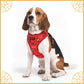 Mutt of Course Friends of Harry Potter Harness For Dogs