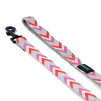 Basil Printed Pink Padded Leash