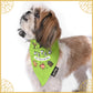 Mutt of Course Harry Potter Woofy Witch Bandana For Dogs
