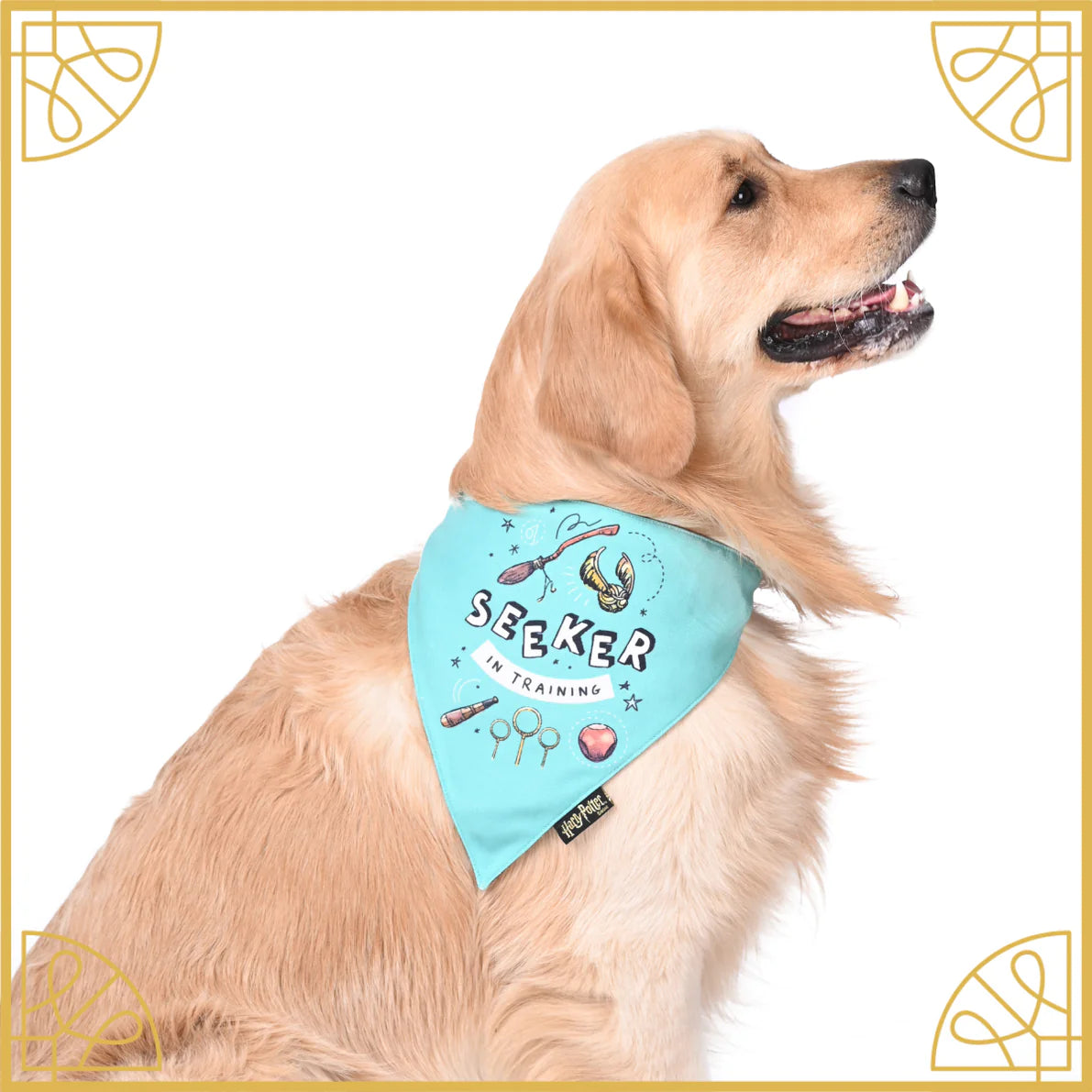 Mutt of Course Harry Potter Sniff N' Seeker Bandana For Dogs