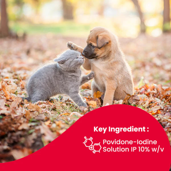 Beaphar Povidone Iodine Wound Healing Spray for Dogs Cats And Small Animal 125ml