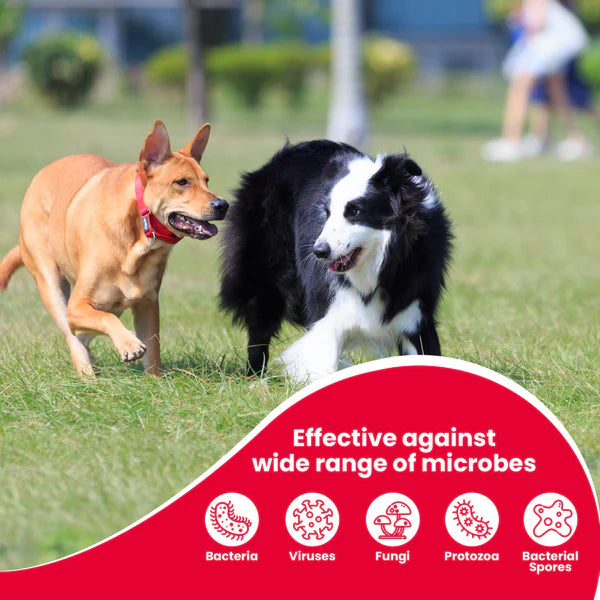 Beaphar Povidone Iodine Wound Healing Spray for Dogs Cats And Small Animal 125ml