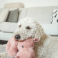Trixie Hippo Plush & Squeaker Toy For Dogs 25cm