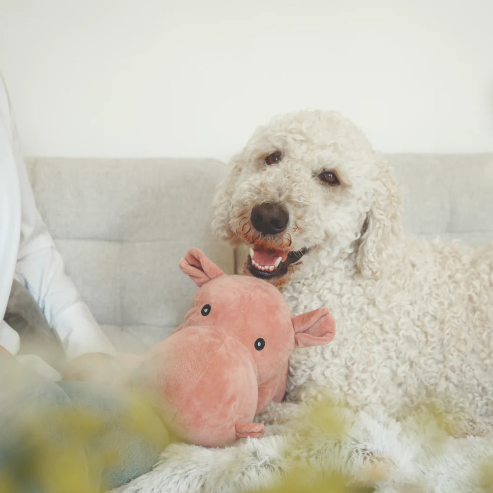 Trixie Hippo Plush & Squeaker Toy For Dogs 25cm