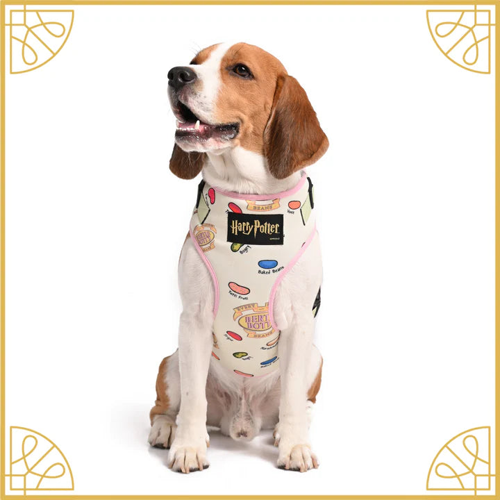 Mutt of Course Harry Potter Every Flavour Bean Harness For Dogs