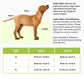 Basil Dog Handle Harness No-Pull Adjustable Vest Harness Green