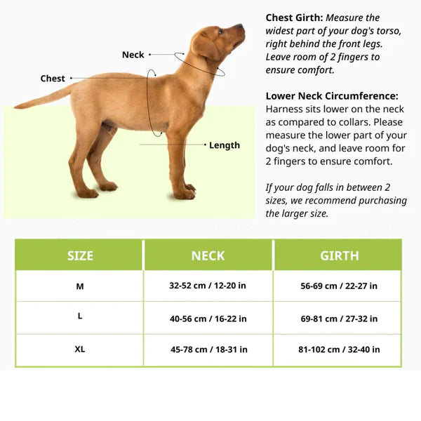 Basil Dog Handle Harness No-Pull Adjustable Vest Harness Orange