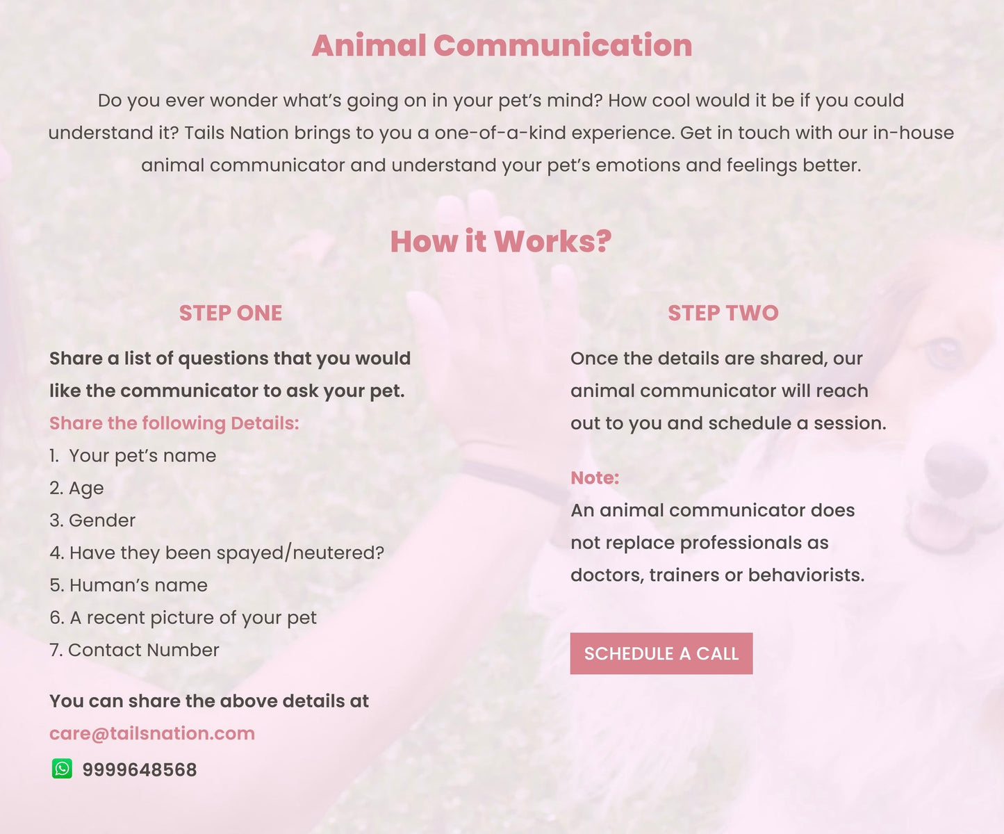 Tails Nation Telefauna Animal Communication