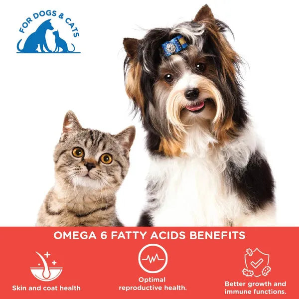 Pawsome Companions Furever Salmon Oil For Cat & Dog 100ml