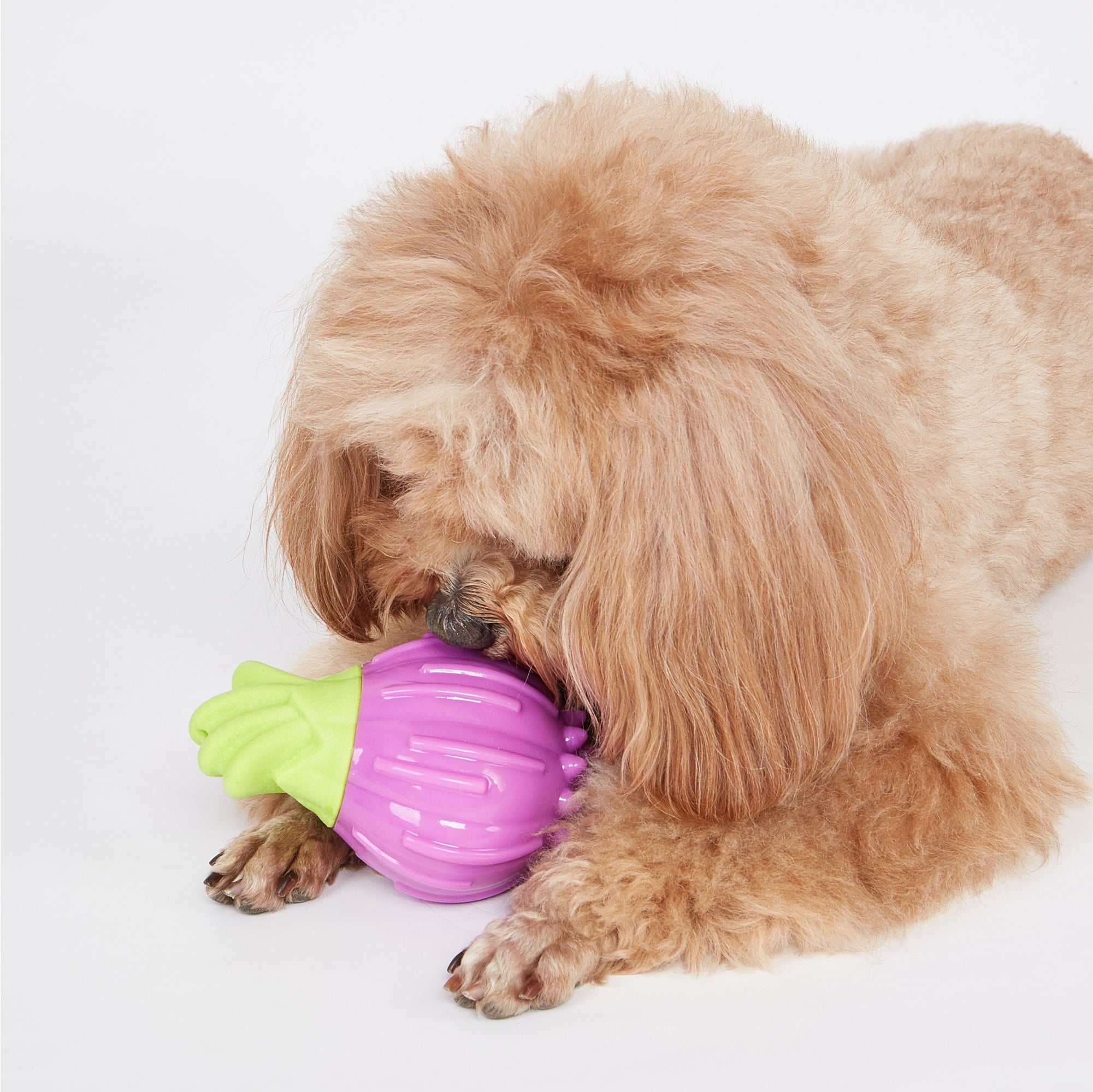 FOFOS Giggling Vegi-Bites Interactive Dog Toy Onion 9 x 6.6 x 11.9 cm