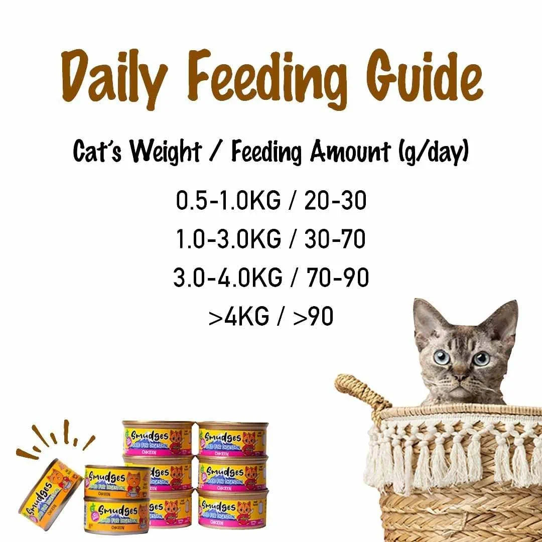 Smudges Skin & Coat Tuna with Salmon in Soft Jelly Adult Cat Food 80gm