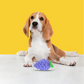 FOFOS Fruity-Bites Squeaky Crazy Grape Dog Toy 11.4 x 7 x 6.1 cm