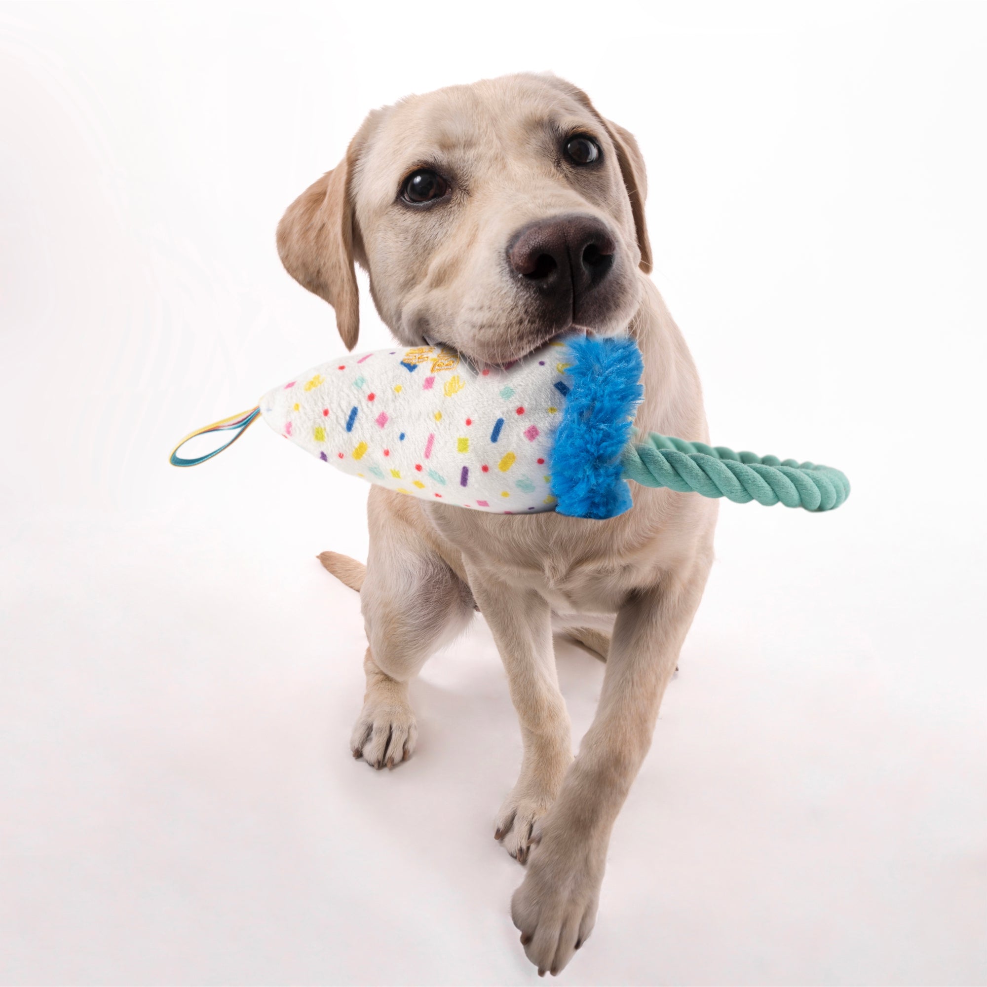 FOFOS Birthday Hat Dog Toy 13x9x28 cm