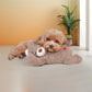 FOFOS Heartbeat Bear Plush Dog Toy 10 x 13.5 x 27 cm