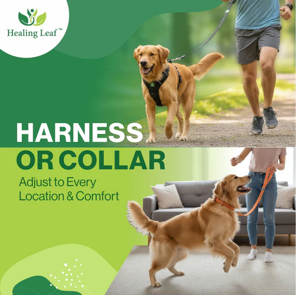 Healing Leaf Set of 3 Collar l Harness l Leash For Dogs l Red