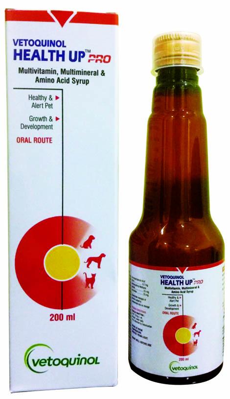 Shop the Latest Trends, Pet Accessories Online | Tails Nation