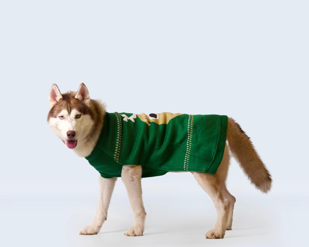 Pet Snugs Green Reindeer Sweater For Your Furry Friend
