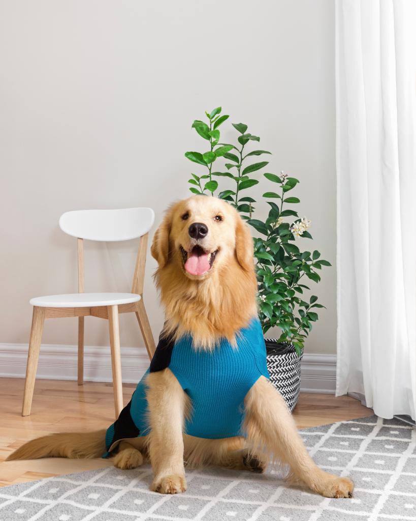 Pet Snugs Half Cable Half Jacquard Sweater For Your Furry Friend
