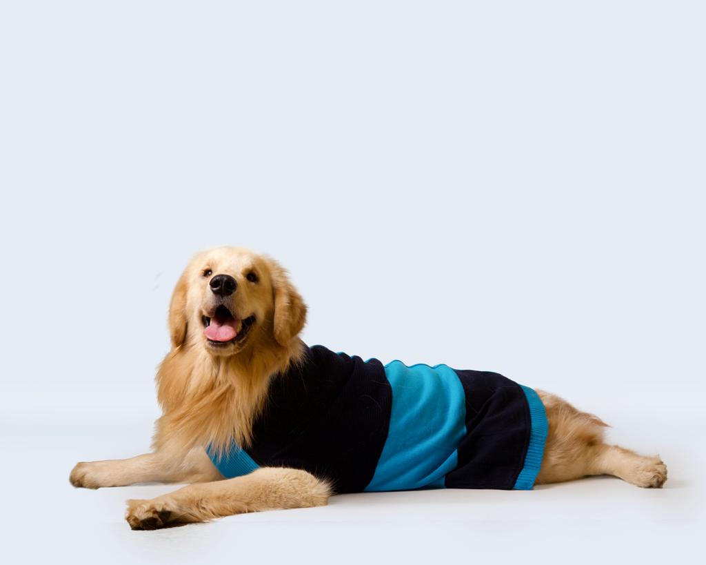 Pet Snugs Half Cable Half Jacquard Sweater For Your Furry Friend