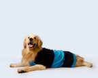 Pet Snugs Half Cable Half Jacquard Sweater For Your Furry Friend