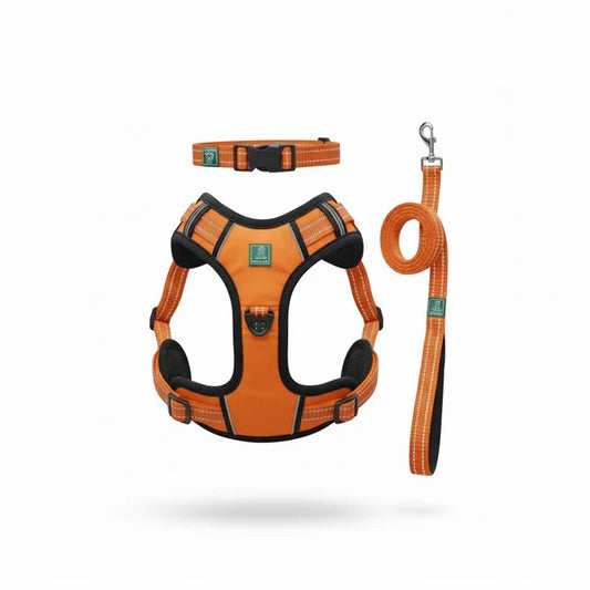 Healing Leaf Set of 3 Collar l Harness l Leash For Dogs l Orange