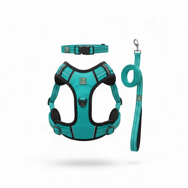 Healing Leaf Set of 3 Collar l Harness l Leash For Dogs l Teal Blue