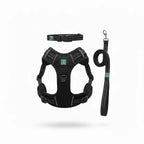 Healing Leaf Set of 3 Collar l Harness l Leash For Dogs l Black