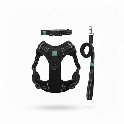 Healing Leaf Set of 3 Collar l Harness l Leash For Dogs l Black