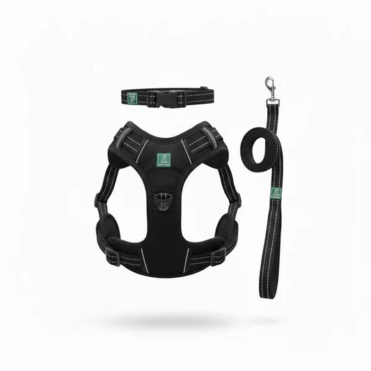 Healing Leaf Set of 3 Collar l Harness l Leash For Dogs l Black