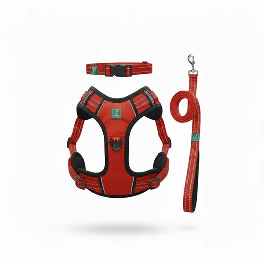 Healing Leaf Set of 3 Collar l Harness l Leash For Dogs l Red