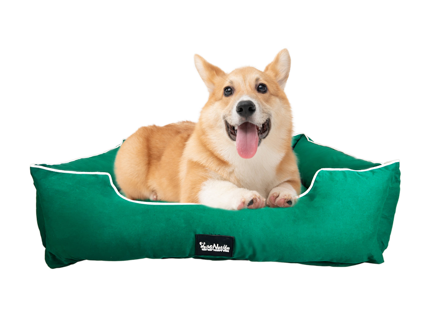 Tails Nation Waterproof Lounger Green Bed For Dogs